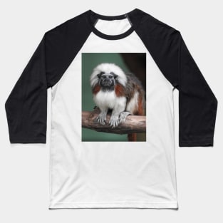 Cotton-top Tamarin Baseball T-Shirt